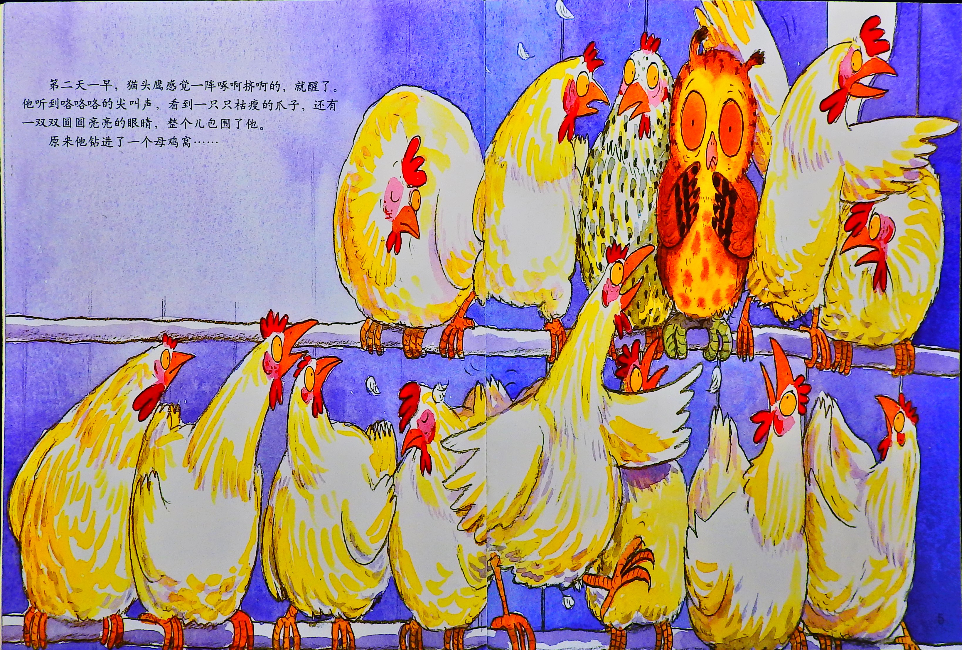 猫头鹰喔喔呼 (06),绘本,绘本故事,绘本阅读,故事书,童书,图画书,课外阅读